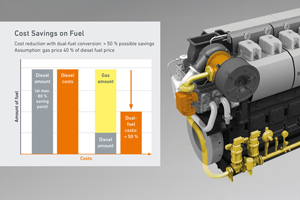 Dual Fuel Conversion