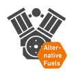 Motoren für alternative Kraftstoffe